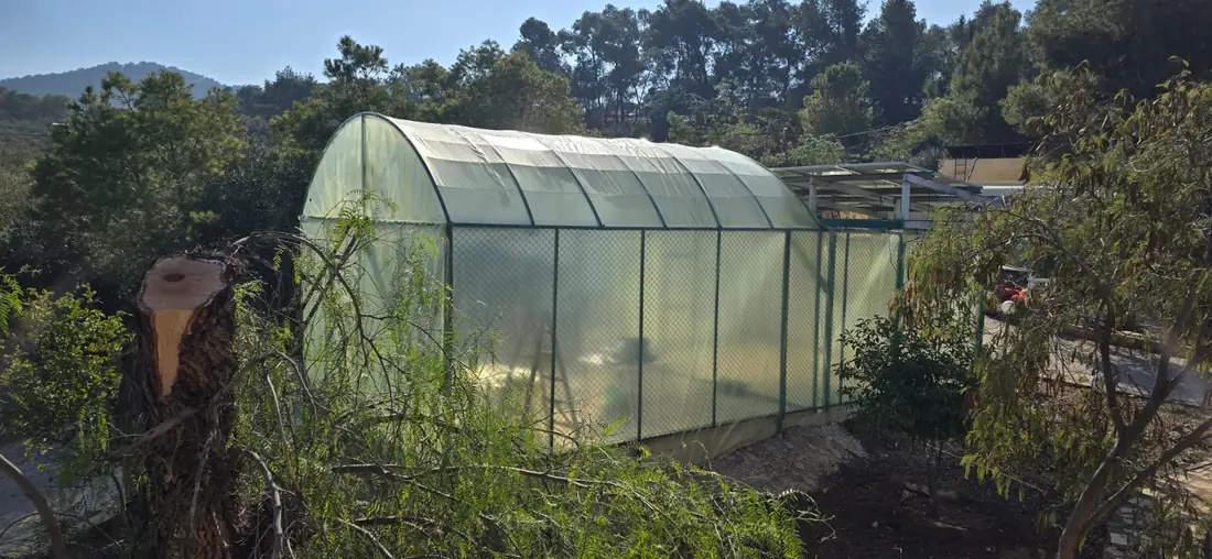 The greenhouse at Tal Al Rumman